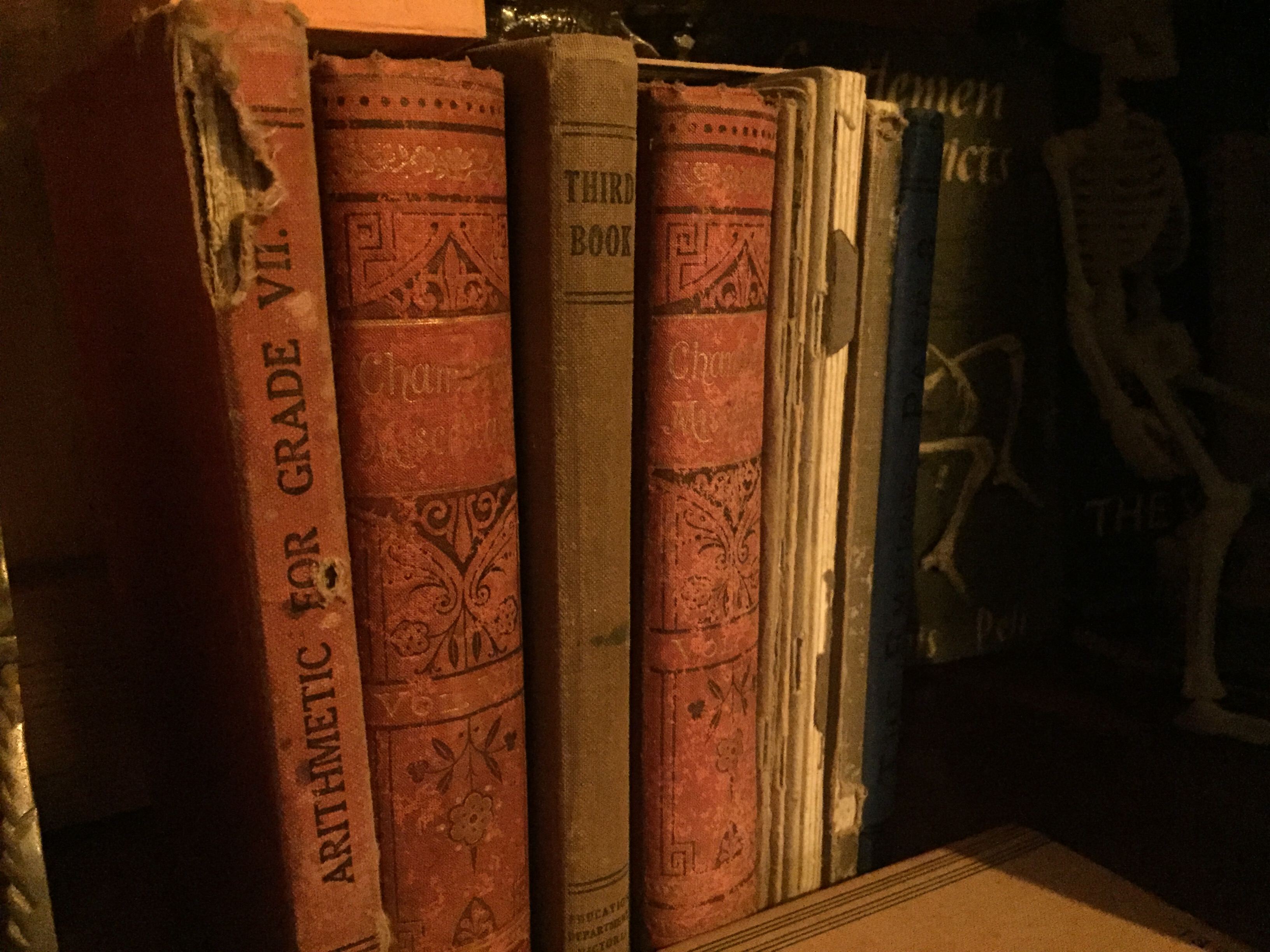 Books in Tiff's library in Majorca